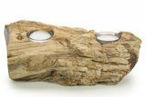 Unique, Petrified Wood Candle Holder - Madagascar #378662-1
